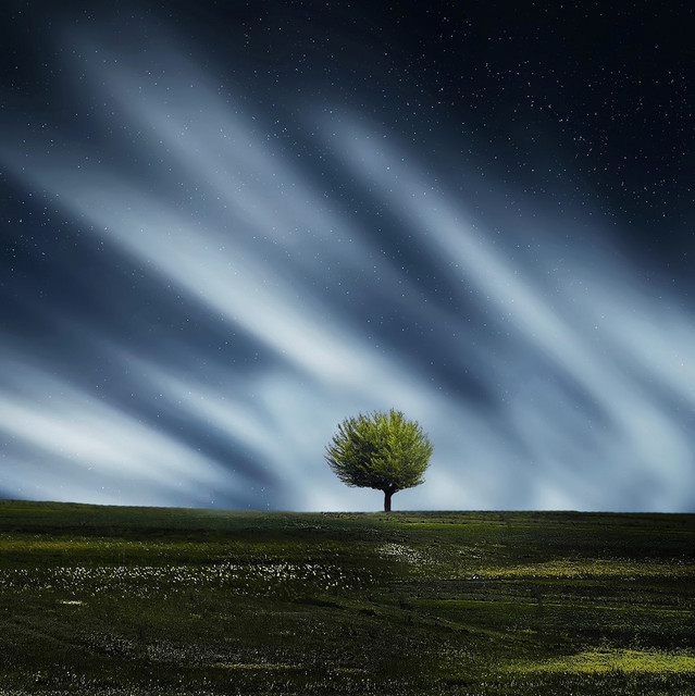 Timeless Sounds | Relaxation and Deep Sleep cover art