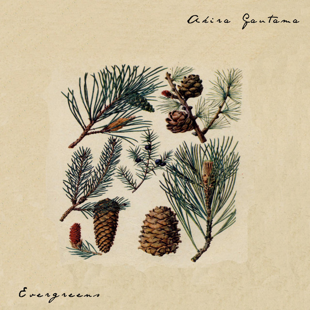Evergreens