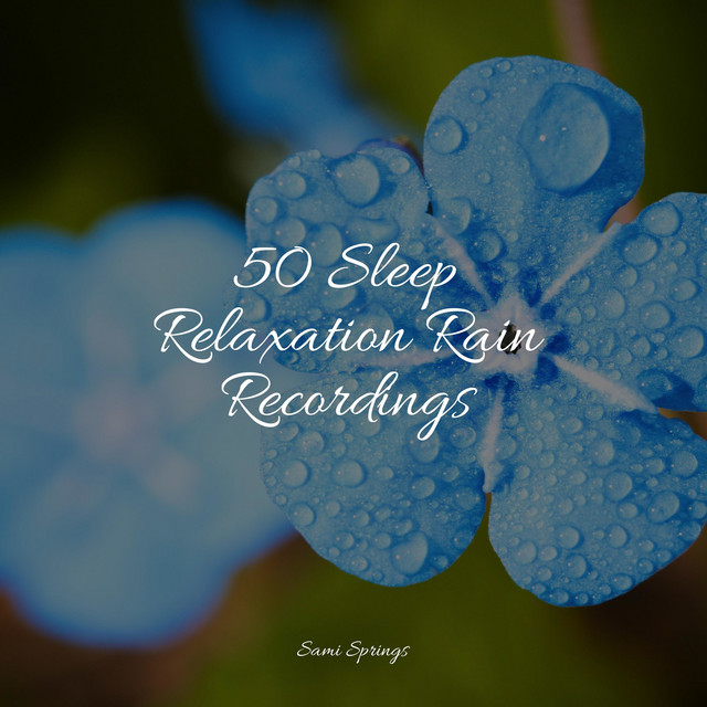 50 Sleep Relaxation Rain Recordings - Album by Relajantes sonidos de ...