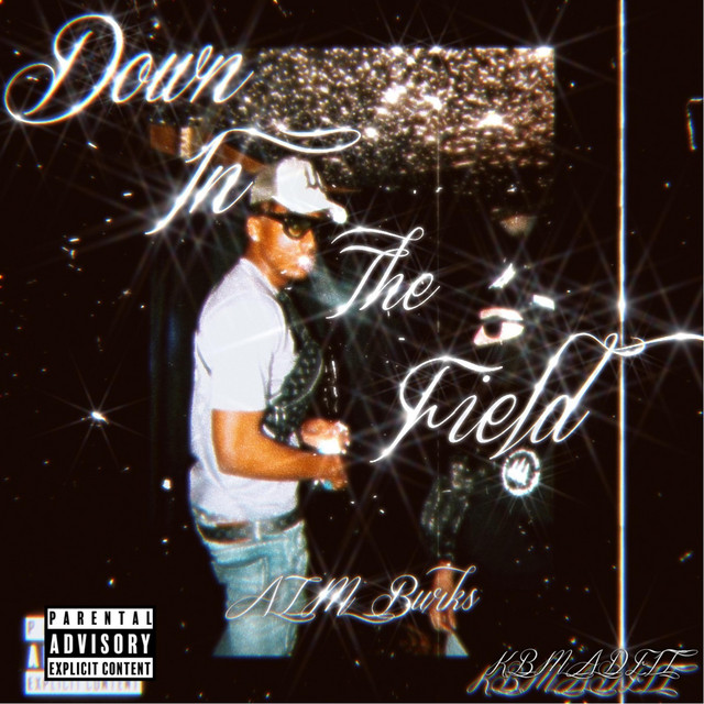 Down In The Field cover art