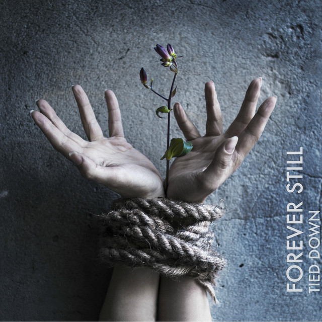 Tied Down cover art