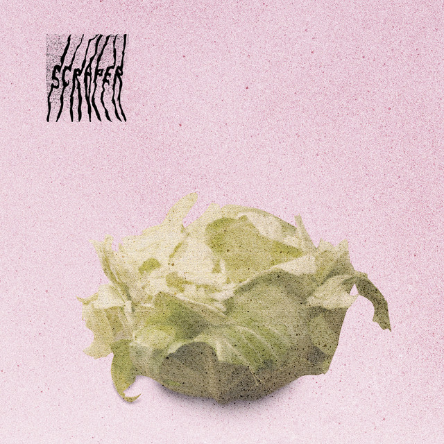 Scraper cover art