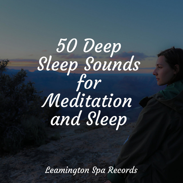 50 Deep Sleep Sounds for Meditation and Sleep - Album by Sleep Sound of ...