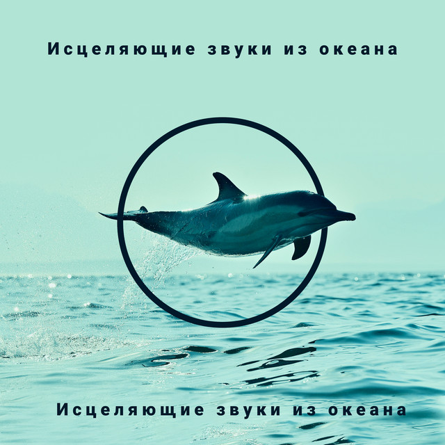 Исцеляющие звуки из океана: Расслабляющая музыкальная терапия, Волны, чайки, дельфины cover art