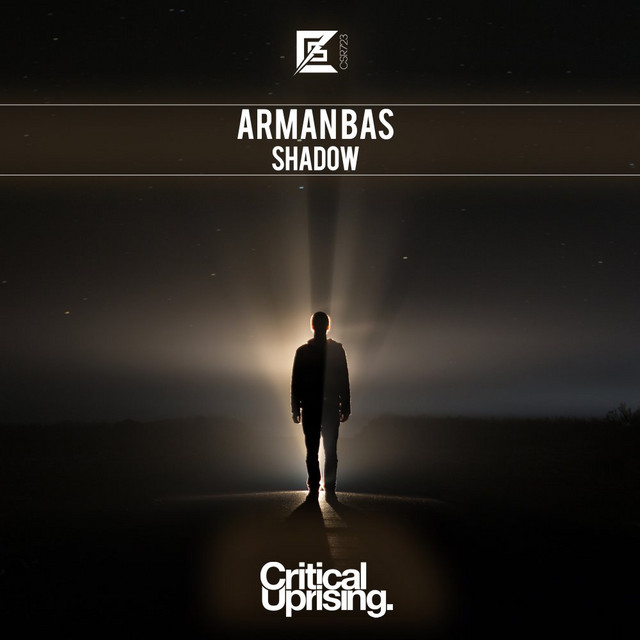 Shadow cover art