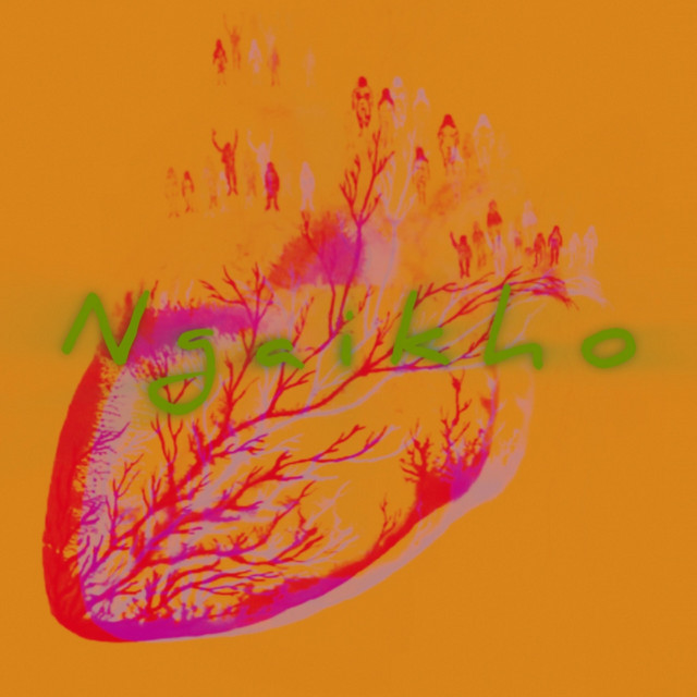 Ngaikho album image