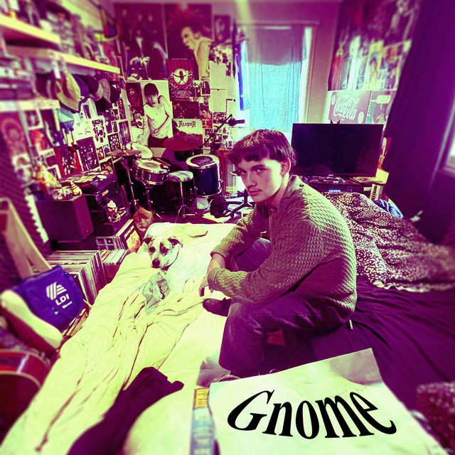 Gnome cover art