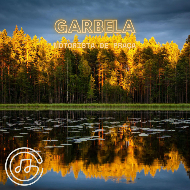 Motorista De Praça cover art