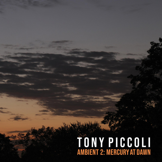 Tony Piccoli