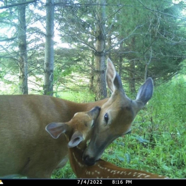 i’m so inlove with him