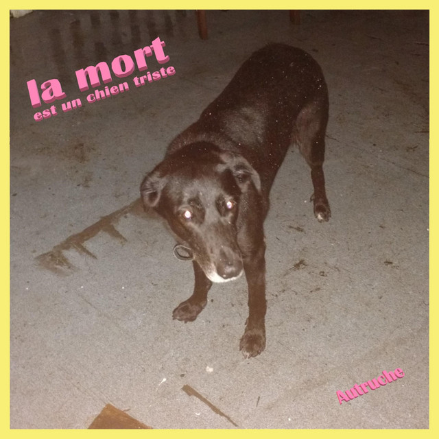 La Mort Est Un Chien Triste Album By Autruche Spotify