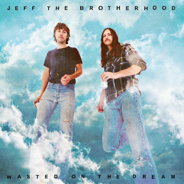 Wasted on the Dream cover art