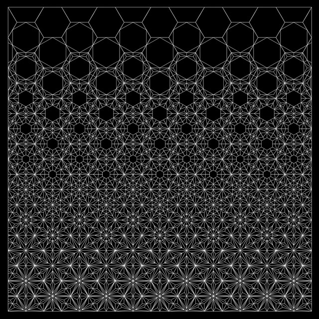 The Anticipatory Organization cover