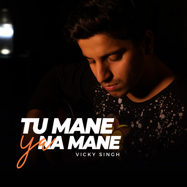 Tu Mane Ya Na Mane cover