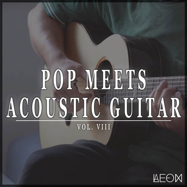 Pop Meets Acoustic Guitar, Vol. 8 cover art
