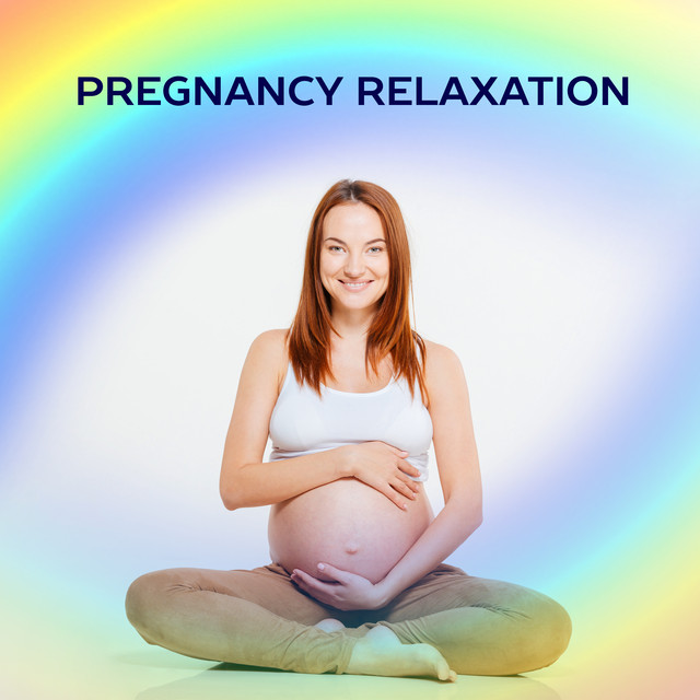 Pregnancy Stillness cover art