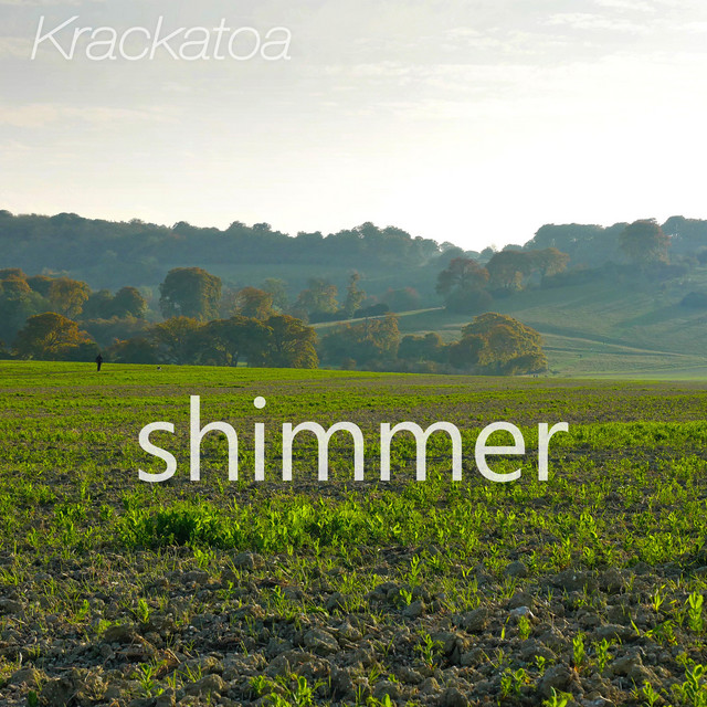 Shimmer cover
