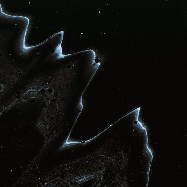 Answer cover art