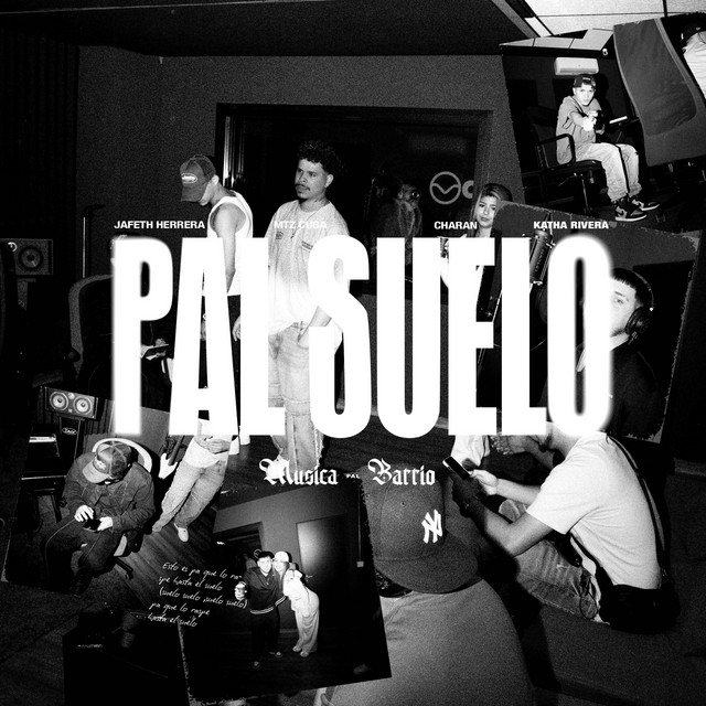 PAL SUELO