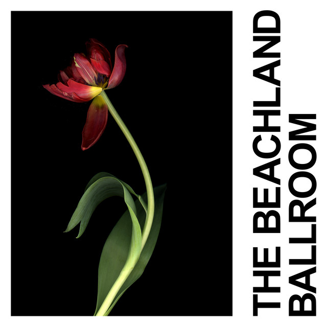 The Beachland Ballroom cover art