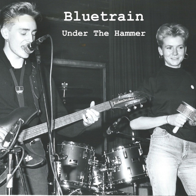 Under The Hammer cover