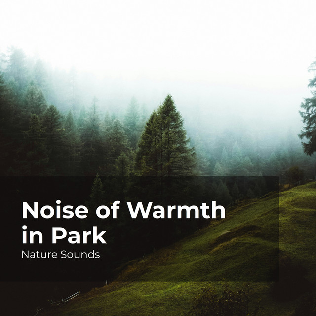 Noise of Warmth in Park cover art