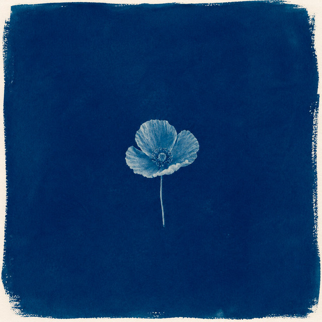 Alguien Como Tú cover art