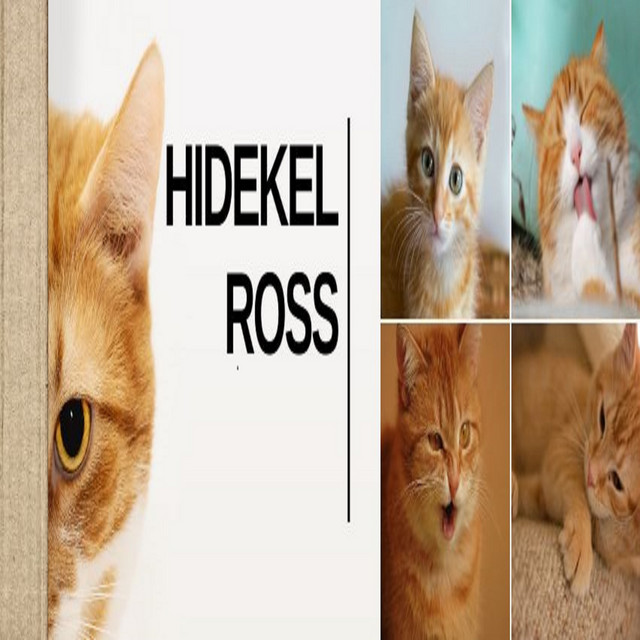 Hidekel Ross