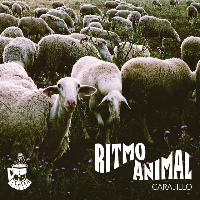 Ritmo Animal cover art
