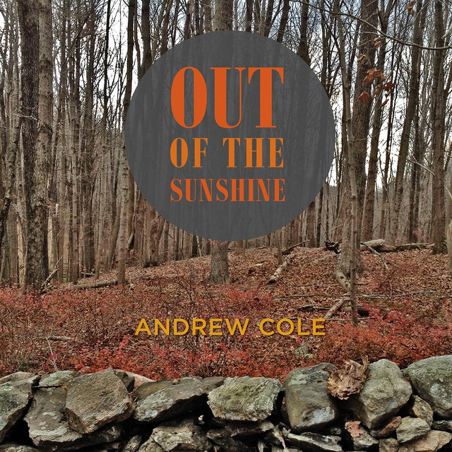 Out of the Sunshine cover art