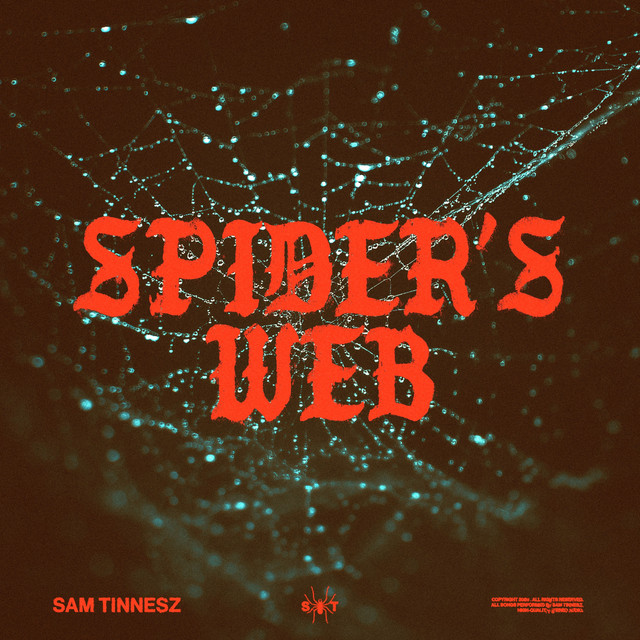 Spider's Web album image