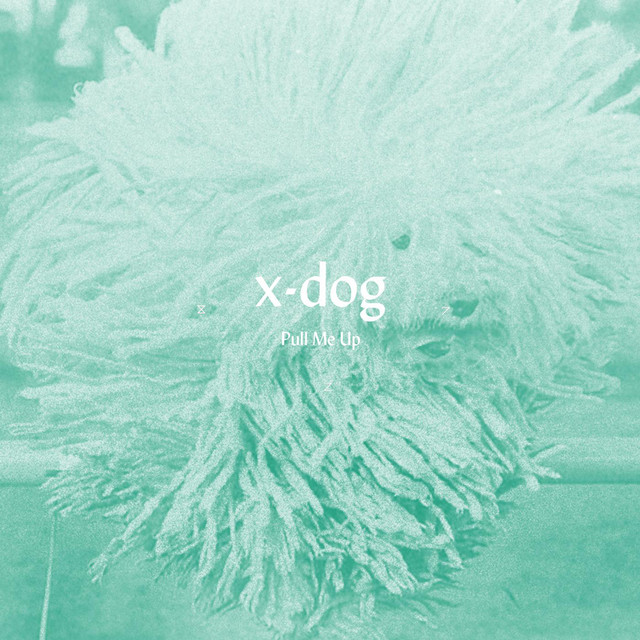 X-Dog