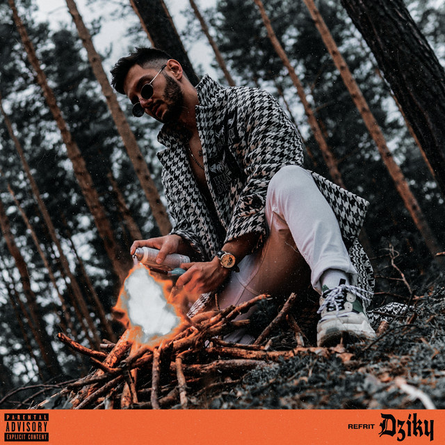 DZIKY cover art
