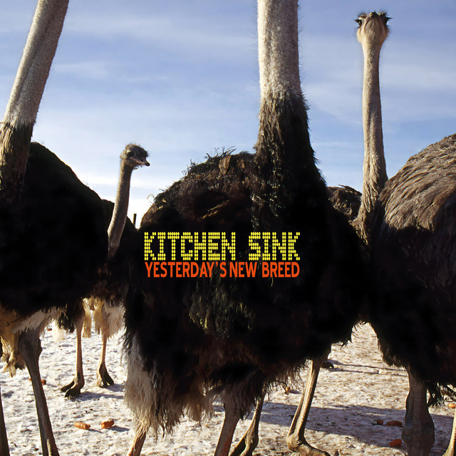 Kitchen Sink