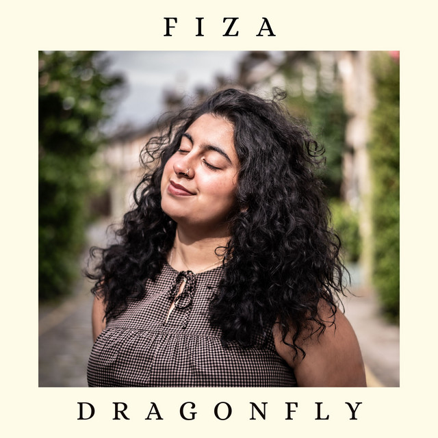Dragonfly cover