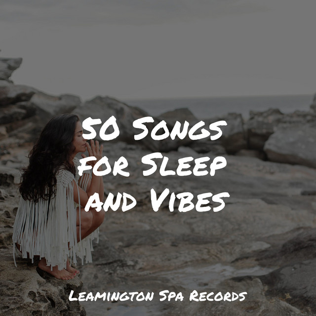 50 Songs for Sleep and Vibes - Album by Calming Sounds | Spotify
