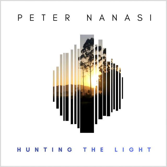 Hunting the Light cover art