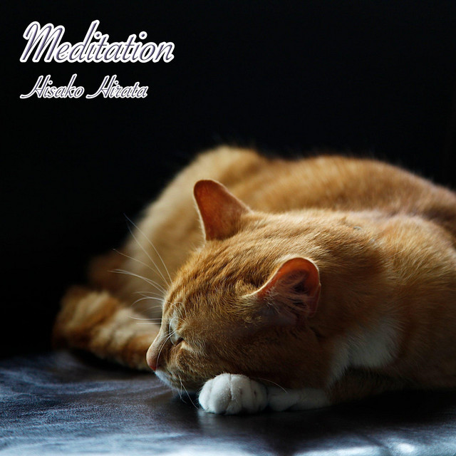 Meditation