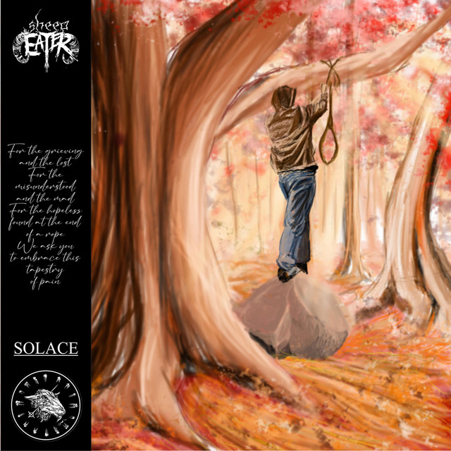 Solace cover art