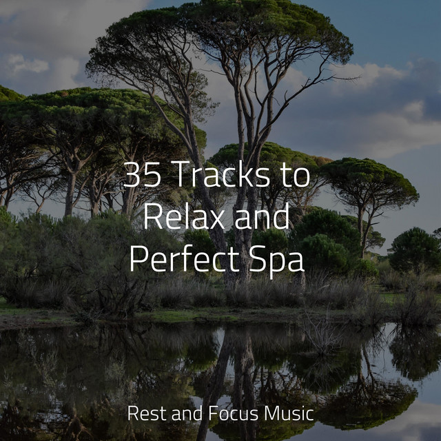 35 Tracks to Relax and Perfect Spa - Album by Musica Reiki | Spotify