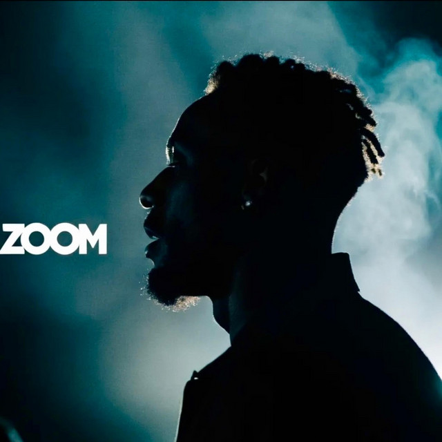 Zoom cover art