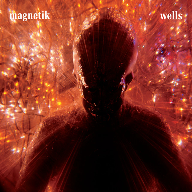 Wells cover