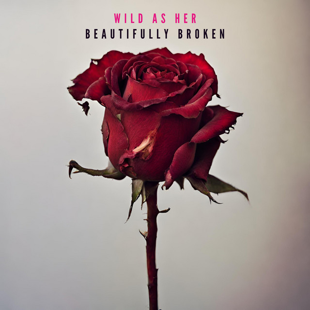 Beautifully Broken (Acoustic Cut) cover
