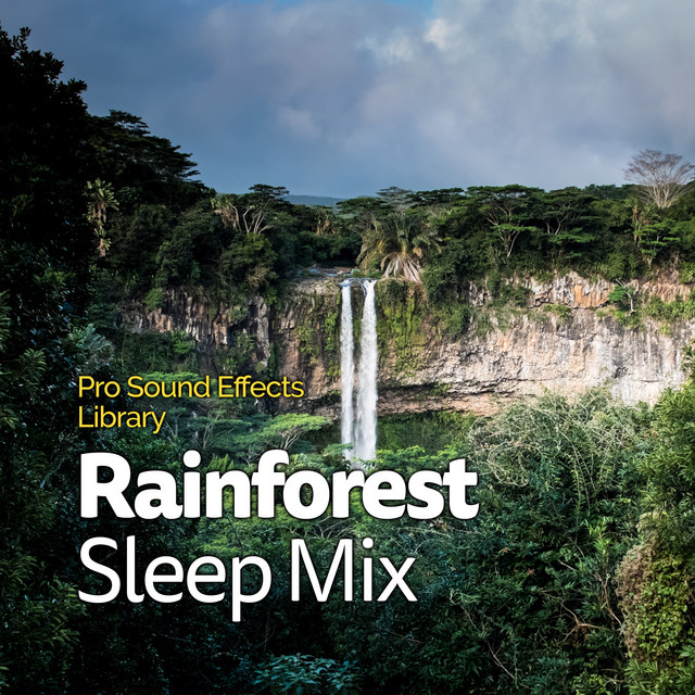 Rainforest Sleep Mix - Album by Pro Sound Effects Library | Spotify