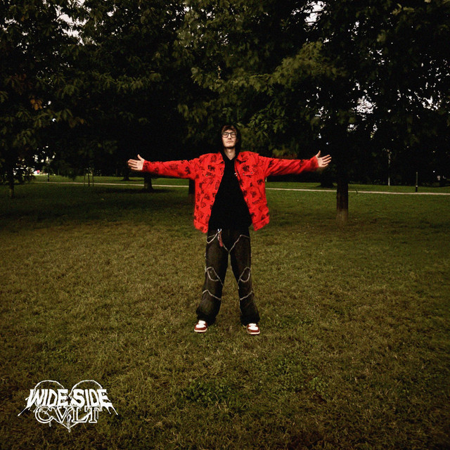 1000 PROBLEMI cover art