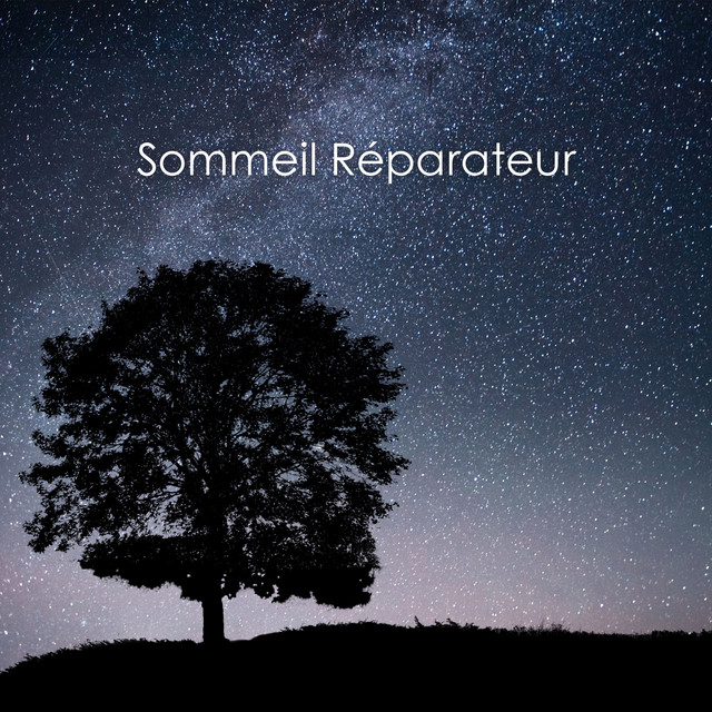 Sommeil Réparateur: L'Art du Repos en Harmonie Hz