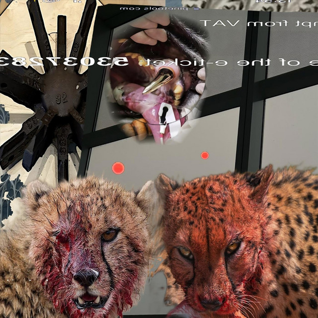 cheetah cover art