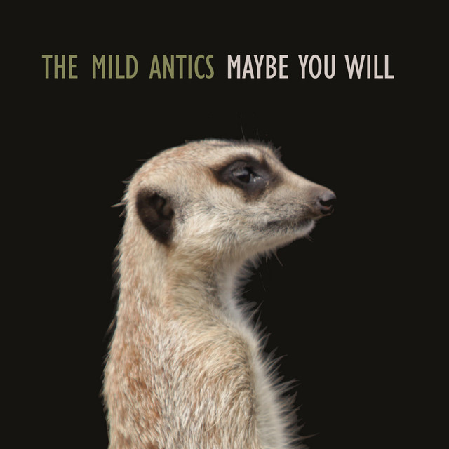 Maybe You Will - Single by The Mild Antics | Spotify