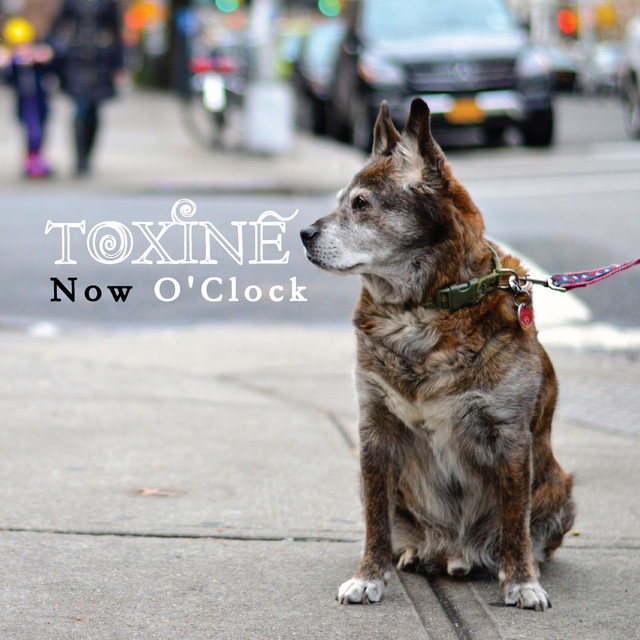 Toxine Photo