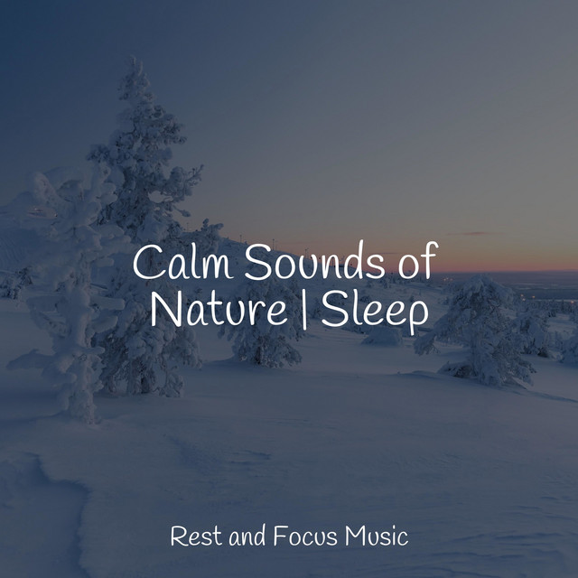 Calm Sounds of Nature | Sleep - Album by Meditation Zen | Spotify